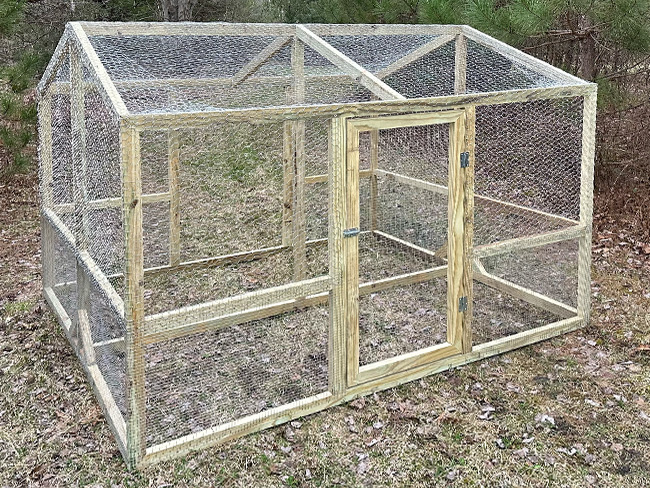 Large run with chicken wire wrapped around it