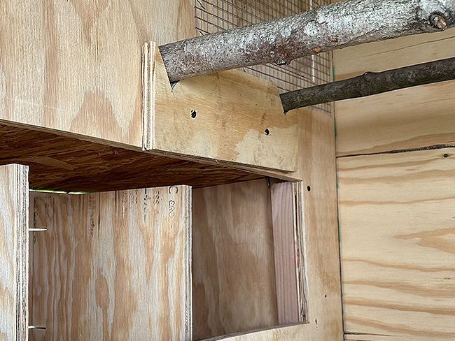 Removable roost mount