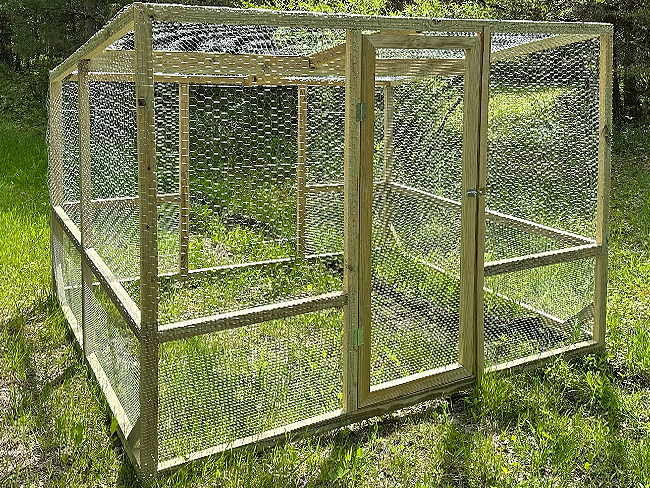 Large run with chicken wire wrapped around it and hardware cloth on the bottom